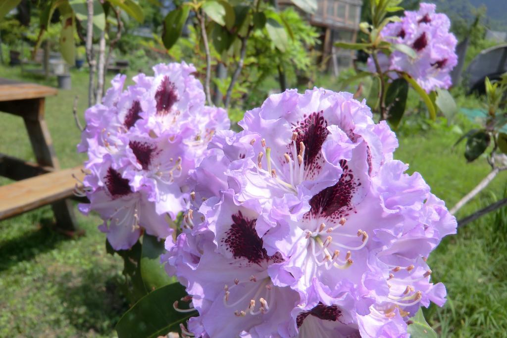 Pension Noah Юдзава Екстер'єр фото