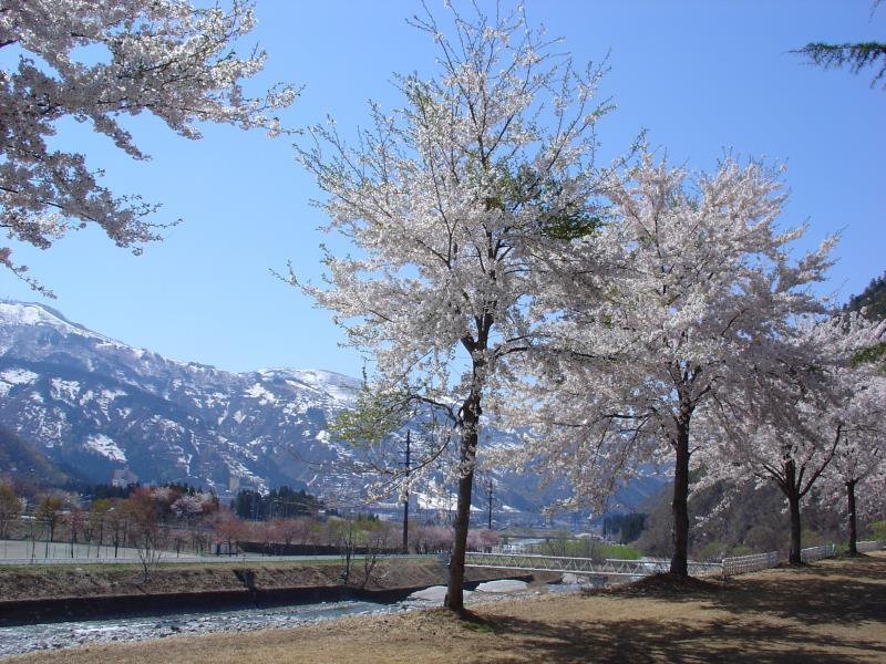 Pension Noah Юдзава Екстер'єр фото